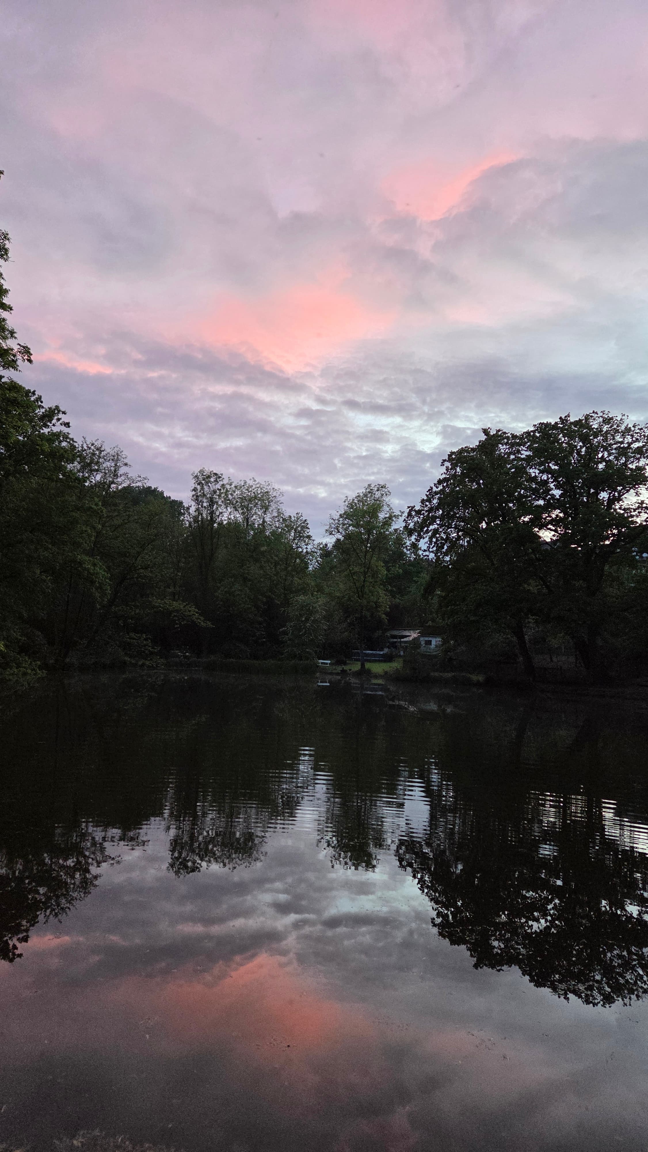 Les Etangs d'Hellébore — photo 3