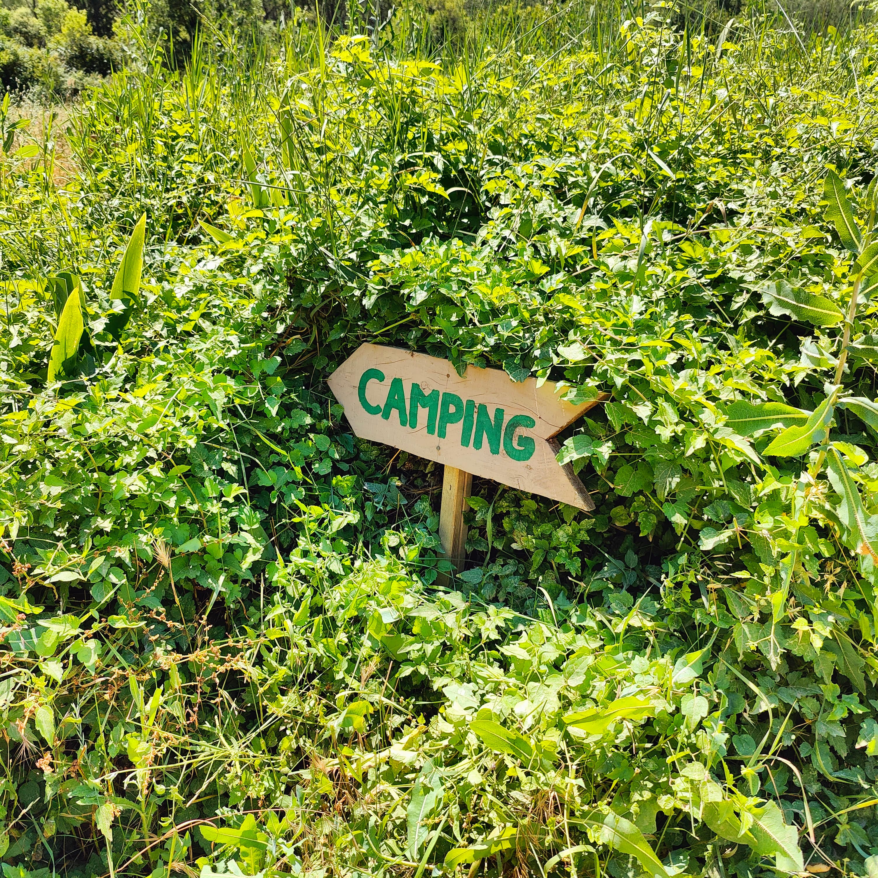 Emplacement Camping Nature Provence â photo 2