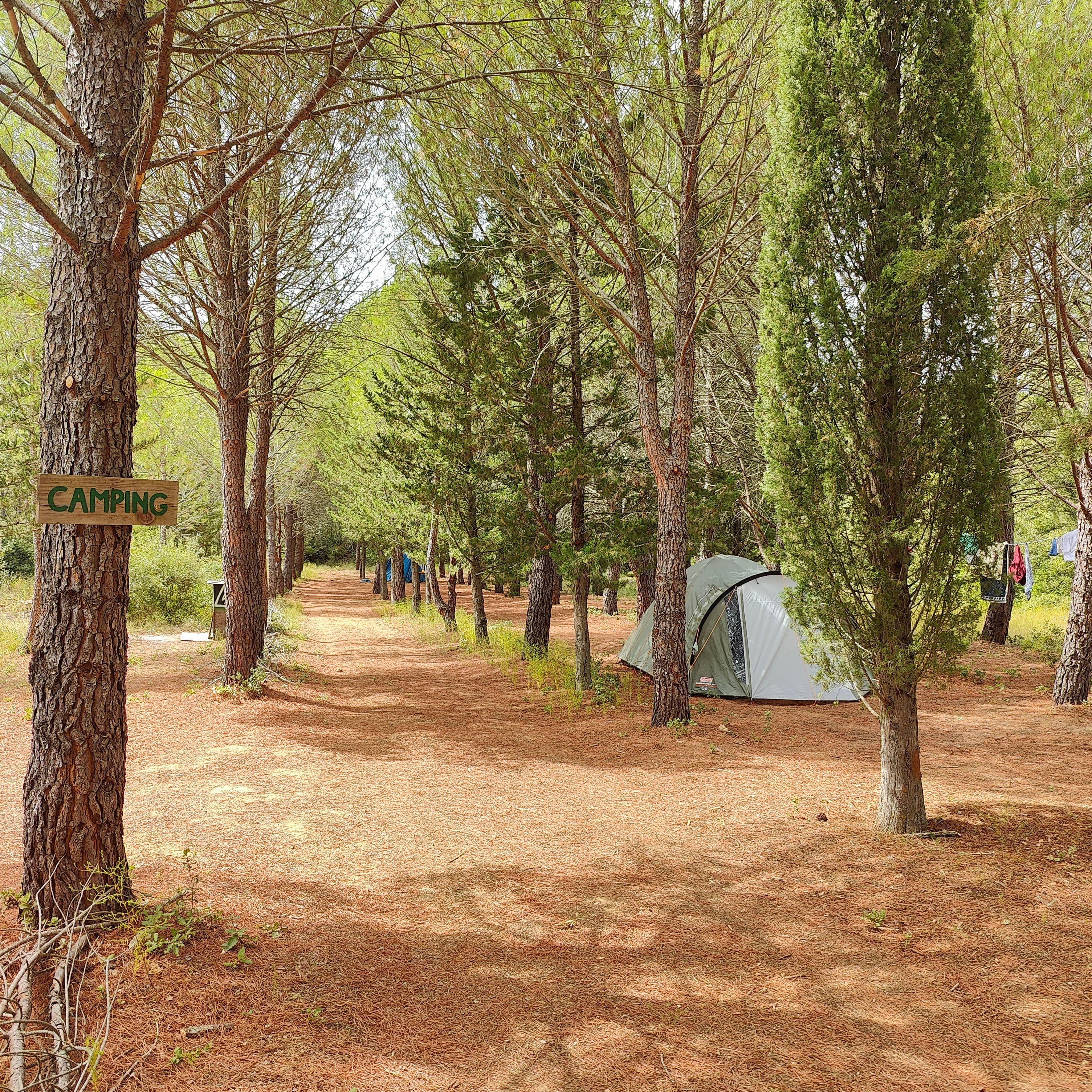 Emplacement Camping Nature Provence â photo 3