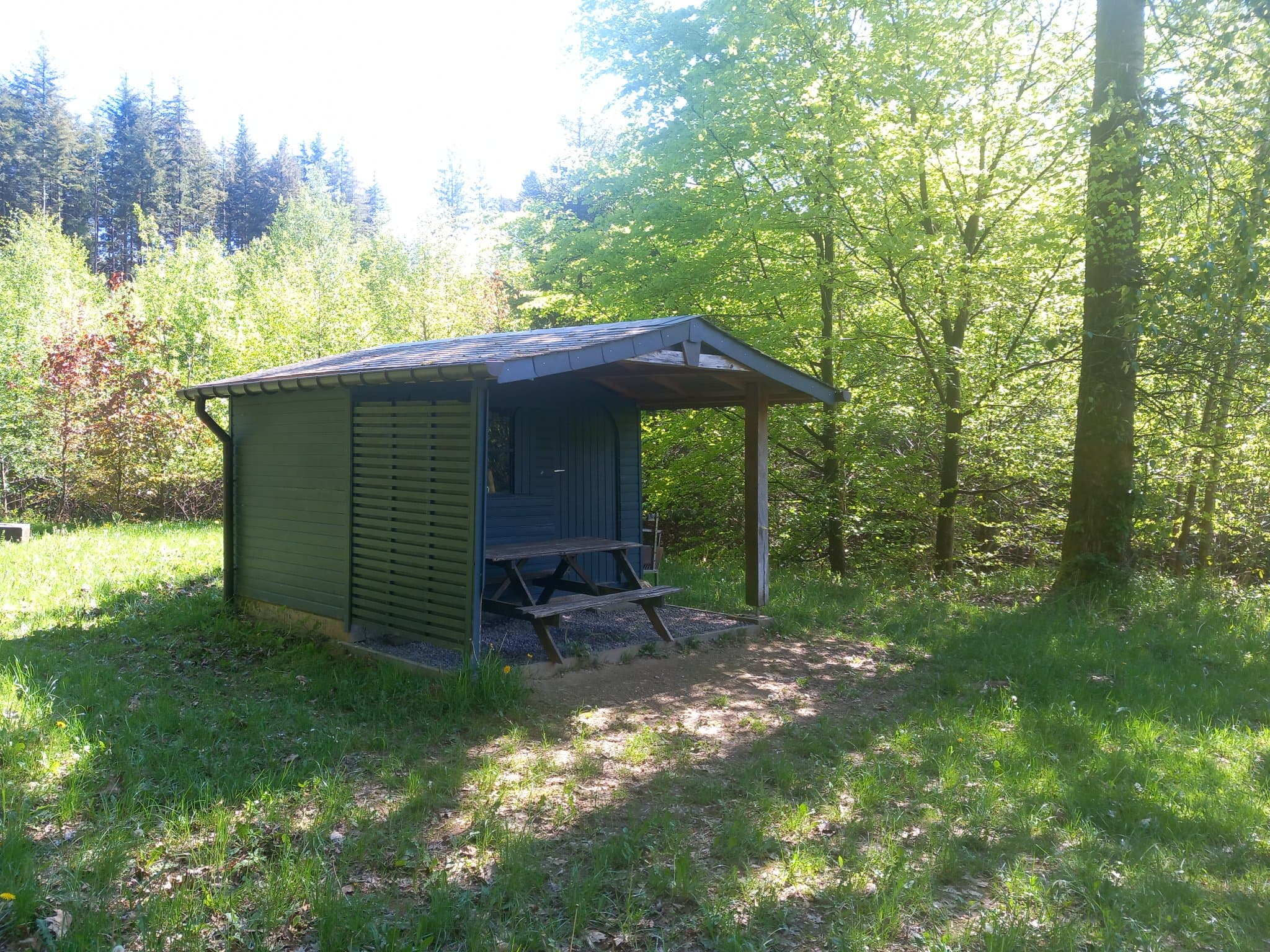 Clairière de Bois La Dame