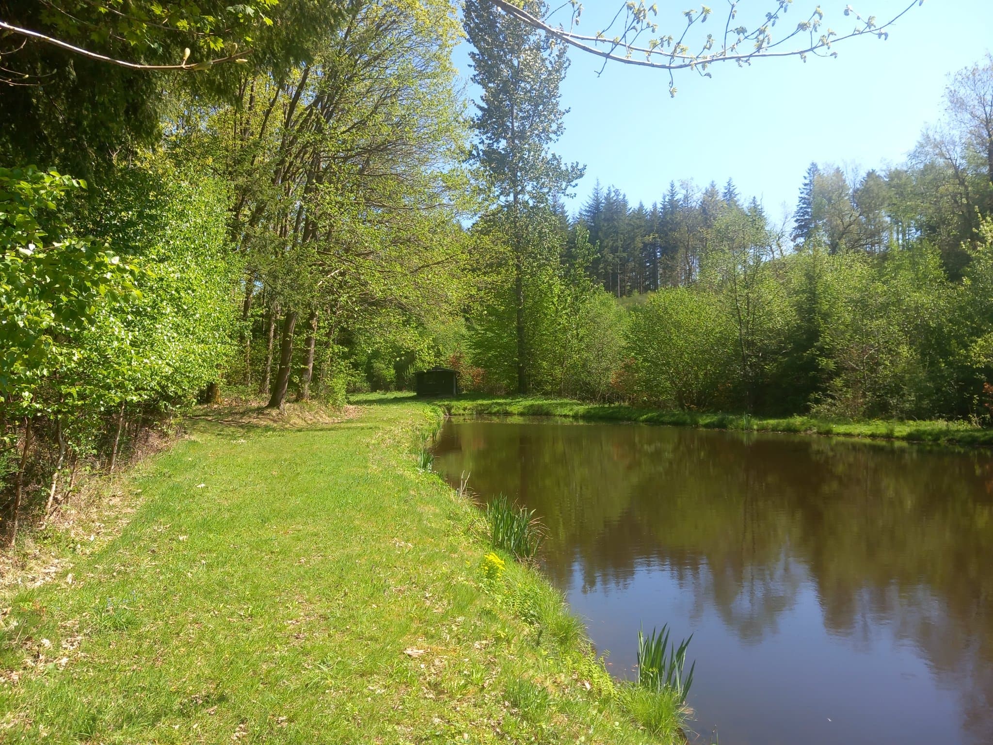 Clairière de Bois La Dame — photo 2