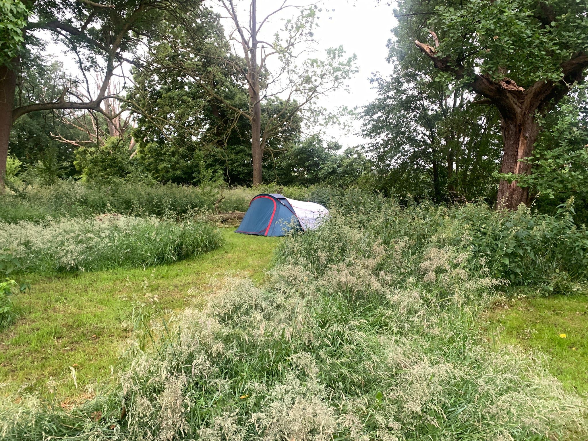 Tentes dans notre verger — photo 3